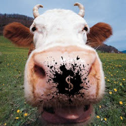 Fiverr profile picture for @livestock