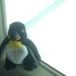 beakstome