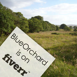 blueorchard