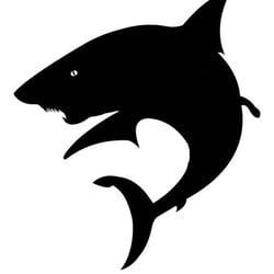sharkattack