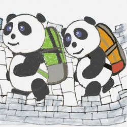 pandasis