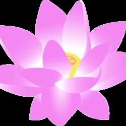 lotusmuse