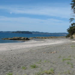 nzbeachboy