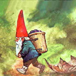 bubblegnome