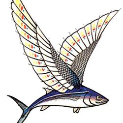 flyingtuna