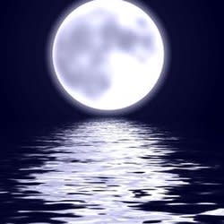 walkingmoon