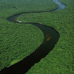 ntncongo