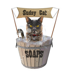 sudsycatsoaps