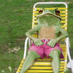 chunkyfrog