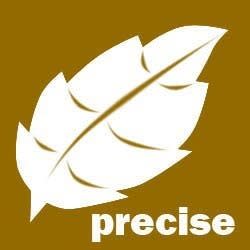 preciseseo