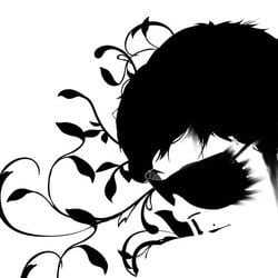 nscyash