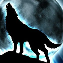 silverwolf70