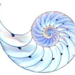 ecaridas