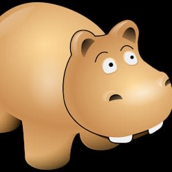 techhippo