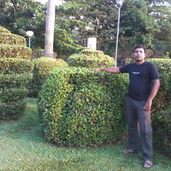 rajsharma15
