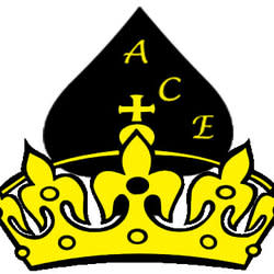 acekingagencies