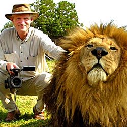 globaldvc