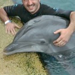 bravaru