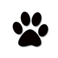 htmlhelpforum