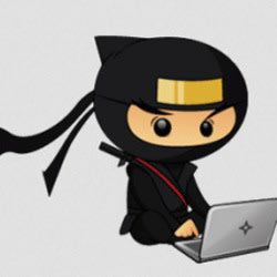 ninjadeveloper