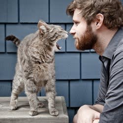 facebookpartner