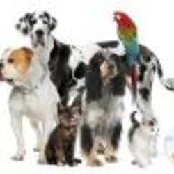 rbwpetcare