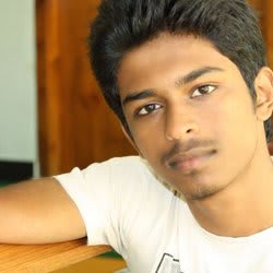 wordpress_niks