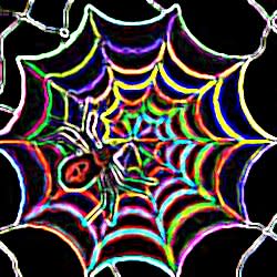 sandyspider