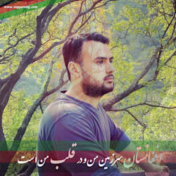 ibrahimhamza
