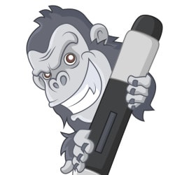 kong_vector