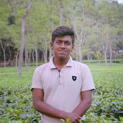 zh_arpon