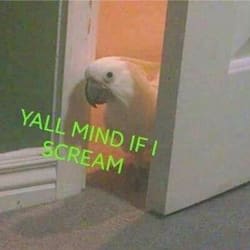 Fiverr profile picture for @camcorder