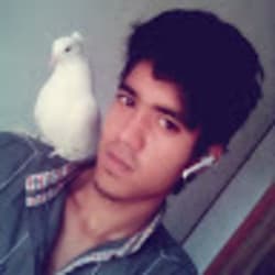 sykoushik