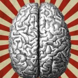 brainsgonewild