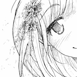amaya0005