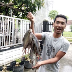 Fiverr profile picture for @sumatera