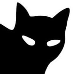 blackcatseo