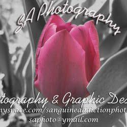 saphoto