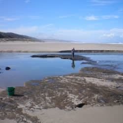 newzealandgirl