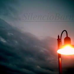 silenciobarnes