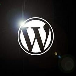 wpengineer