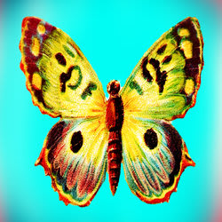 designrr