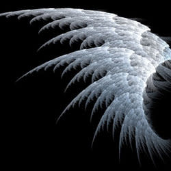 angel1