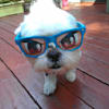 image-docs