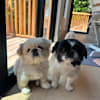 image-docs