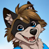 winter_raccoon