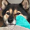 image-docs