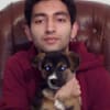 image-docs