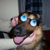 image-docs