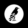 crowvision